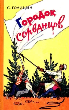 Сергей Голицын Городок сорванцов обложка книги