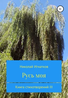 Николай Игнатков Русь моя. Книга стихотворений III обложка книги