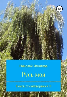 Николай Игнатков Русь моя. Книга стихотворений II обложка книги