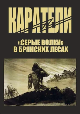 Петр Головачев Каратели обложка книги