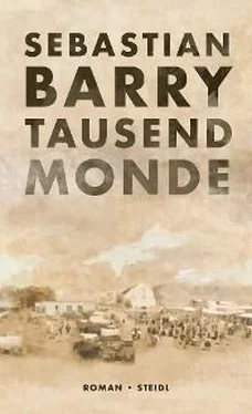 Sebastian Barry Tausend Monde обложка книги