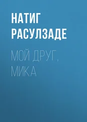 Натиг Расулзаде - Мой друг, Мика