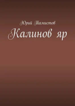 Юрий Тамистов Калинов яр обложка книги