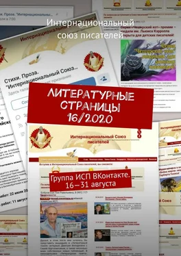 Валентина Спирина Литературные страницы 16/2020. Группа ИСП ВКонтакте. 16—31 августа обложка книги