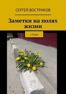 Сергей Востриков Заметки на полях жизни. Стихи обложка книги