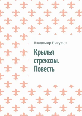 Владимир Никулин Крылья стрекозы. Повесть обложка книги