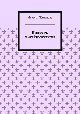 Меруерт Жаманова Повесть о добродетели обложка книги