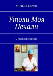 Михаил Сорин - Утоли моя печали. О любви и верности