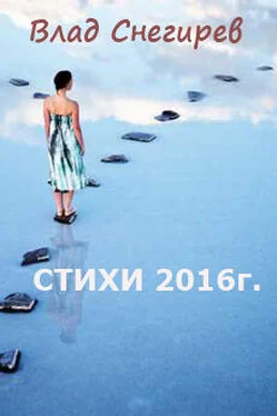 Влад Снегирев Стихотворения 2016г. обложка книги