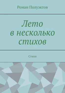 Роман Полуэктов Лето в несколько стихов. Стихи обложка книги