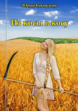 Юрий Буковский Из косы в косу. Сказка обложка книги