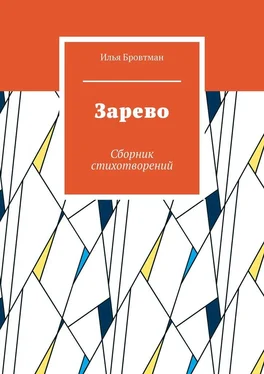 Илья Бровтман Зарево. Сборник стихотворений обложка книги