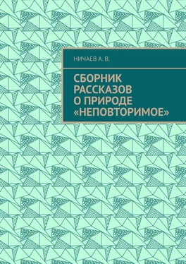 А. Ничаев Сборник рассказов о природе «Неповторимое» обложка книги