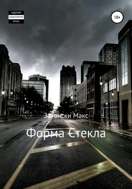 Максим Шабалин (Затонски) Форма стекла обложка книги