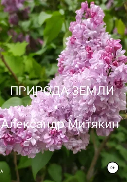 Александр Митякин Природа Земли обложка книги