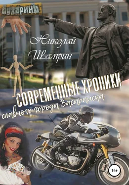 Николай Шамрин Современные хроники славного города Засарайска обложка книги