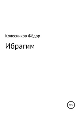 Фёдор Колесников Ибрагим обложка книги