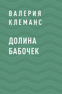 Валерия Клеманс Долина бабочек обложка книги