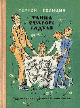 Сергей Голицын Тайна старого Радуля обложка книги