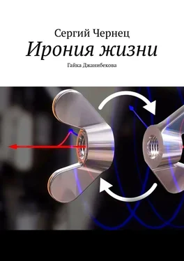 Сергий Чернец Ирония жизни. Гайка Джанибекова обложка книги
