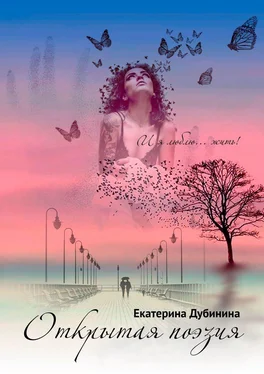 Екатерина Дубинина Открытая поэзия обложка книги