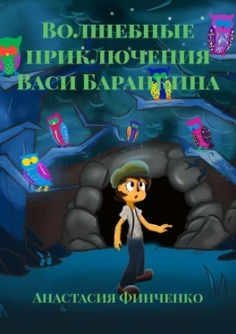 Анастасия Финченко Волшебные приключения Васи Баранкина обложка книги