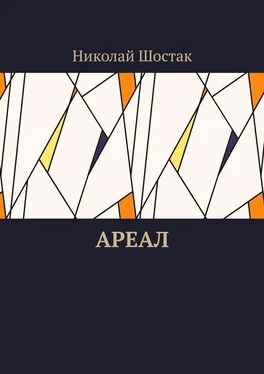 Николай Шостак Ареал обложка книги