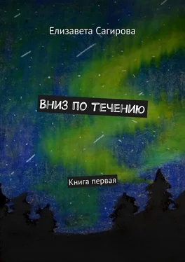 Елизавета Сагирова Вниз по течению. Книга первая обложка книги