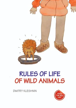 Dmitry Kleshnin Rules of life of wild animals обложка книги