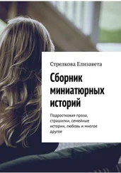 Стрелкова Елизавета - Сборник миниатюрных историй. Подростковая проза, страшилки, семейные истории, любовь и многое другое