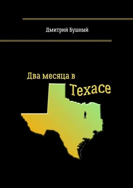 Дмитрий Бушный Два месяца в Техасе обложка книги