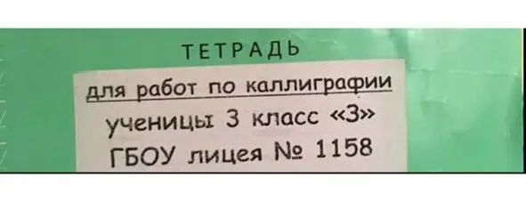 Три строчки ежедневно несмотря на холод и жару в голове Иногда на тетради по - фото 8