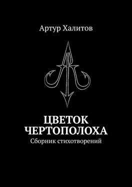 Артур Халитов Цветок Чертополоха. Сборник стихотворений обложка книги