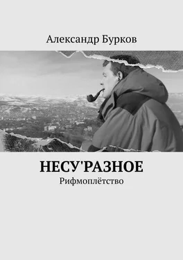 Александр Бурков несу'РАЗНОЕ. Рифмоплётство обложка книги