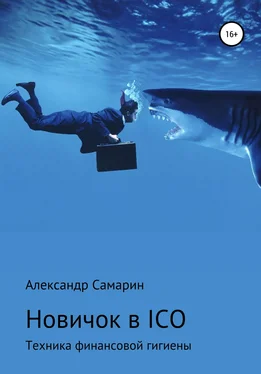 Александр Самарин Новичок в ICO. Техника финансовой гигиены обложка книги