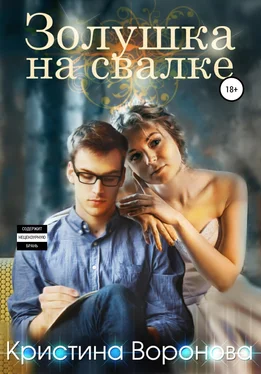Кристина Воронова Золушка на свалке обложка книги