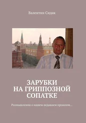 Валентин Сидак - Зарубки на гриппозной сопатке. Размышления о нашем недавнем прошлом…