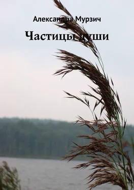 Александра Мурзич Частицы души обложка книги