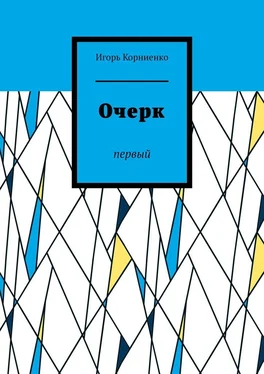 Игорь Корниенко Очерк. Первый обложка книги