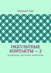 Черный Лис - Оккультные контакты – 2. Минералы, растения, животные