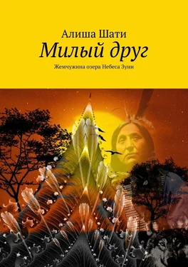 Алиша Шати Милый друг. Жемчужина озера Небеса Зуни обложка книги