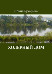 Ирина Бухарина - Холерный дом