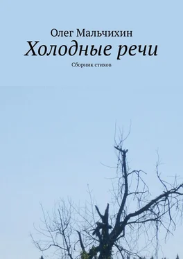 Олег Мальчихин Холодные речи. Сборник стихов обложка книги