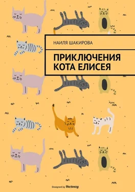 Наиля Шакирова Приключения кота Елисея обложка книги