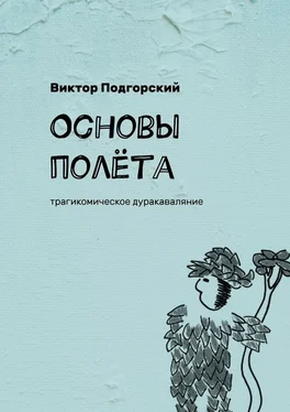 Виктор Подгорский Основы полёта. Трагикомическое дуракаваляние обложка книги