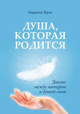 Людмила Терзи Душа, которая родится. Диалог между матерью и душой сына обложка книги