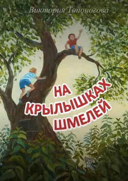 Виктория Топоногова На крылышках шмелей обложка книги
