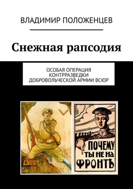 Владимир Положенцев Снежная рапсодия. Особая операция контрразведки Добровольческой армии ВСЮР обложка книги