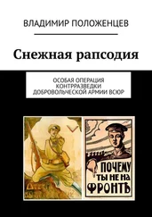 Владимир Положенцев - Снежная рапсодия. Особая операция контрразведки Добровольческой армии ВСЮР