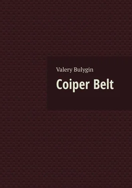 Valery Bulygin Coiper Belt обложка книги